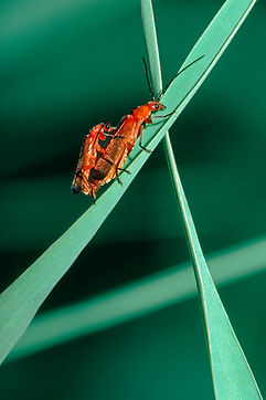 027A_schöne kleine welt_marcel_chassot-M.jpg