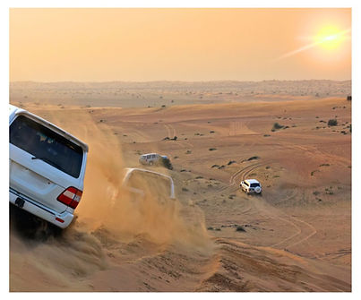Dubai Safari.jpg