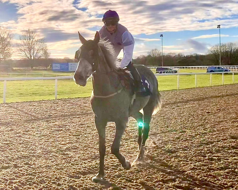 Tarbat Ness continues a good run for the stable in 2026