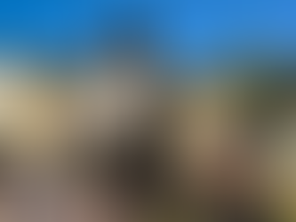 Fifth win for Tarbat Ness on his return to Newcastle