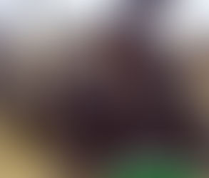 Abjuration Wizard 5e Guide