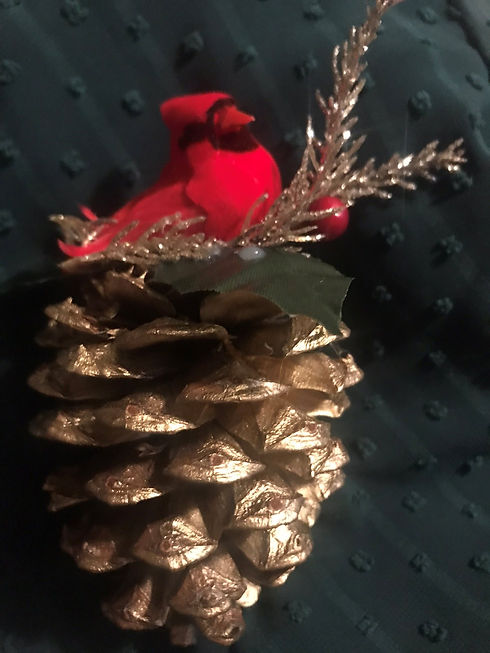 Cardinal on (Gold).jpg