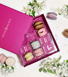 Denver Macaron Spring Small Square_edited.jpg