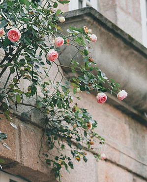 pexels-orlovamaria-4917177.jpg
