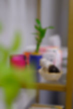 a smudge stick inside the counseling office at be your best self and thrive in st petersburg, fl, holistic counselor, holistic therapy