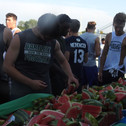 Watermelon day 11.jpeg