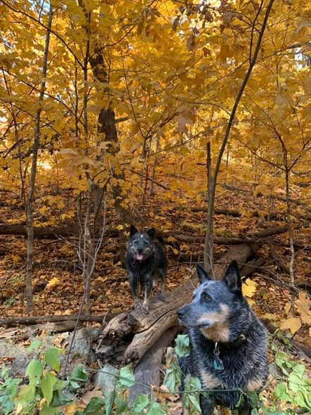 121497820_10224544891194095_943371286010283022_n