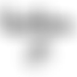 Tout Finira Bien signe chez IGLOO (label Factice)