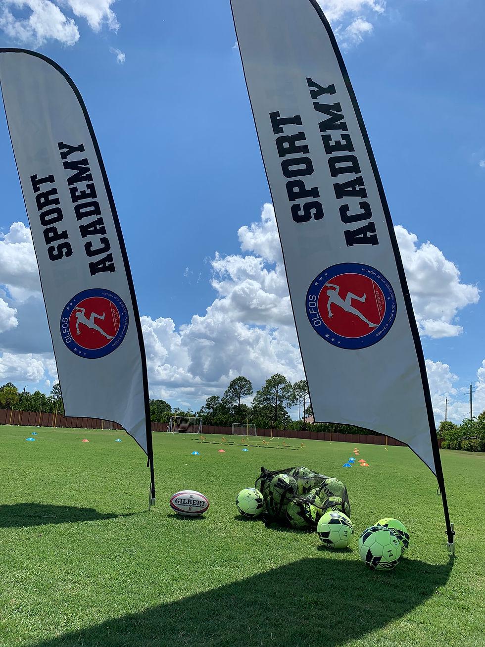 Field blade flags soccer