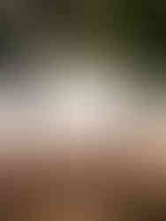 Hawaii Vacation Bucket List