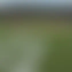 What Is Perfect Game in Baseball?