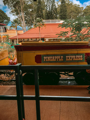 Hawaii Vacation Bucket List