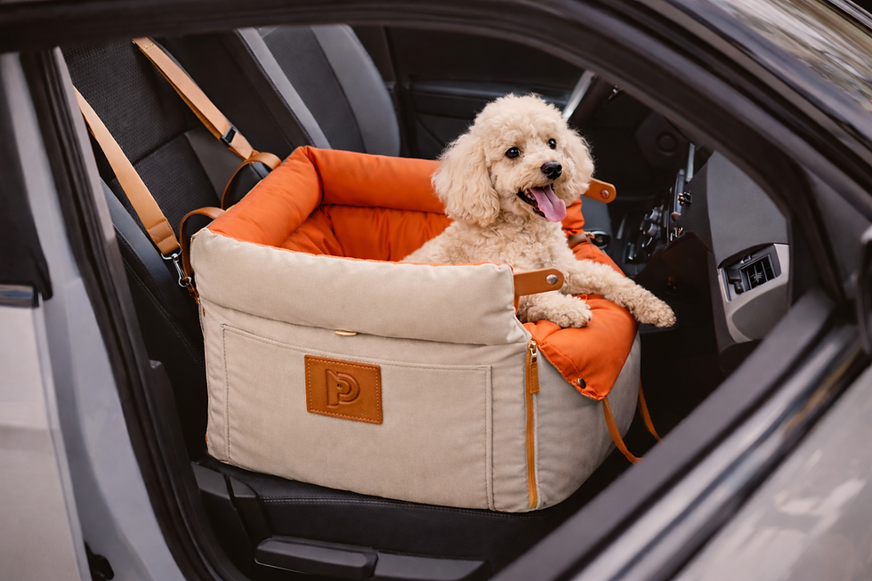 ChatGPT Image 9 feb 2026, 01_56_16 p.m..png