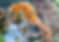 thumbnail_PA171191.jpg
