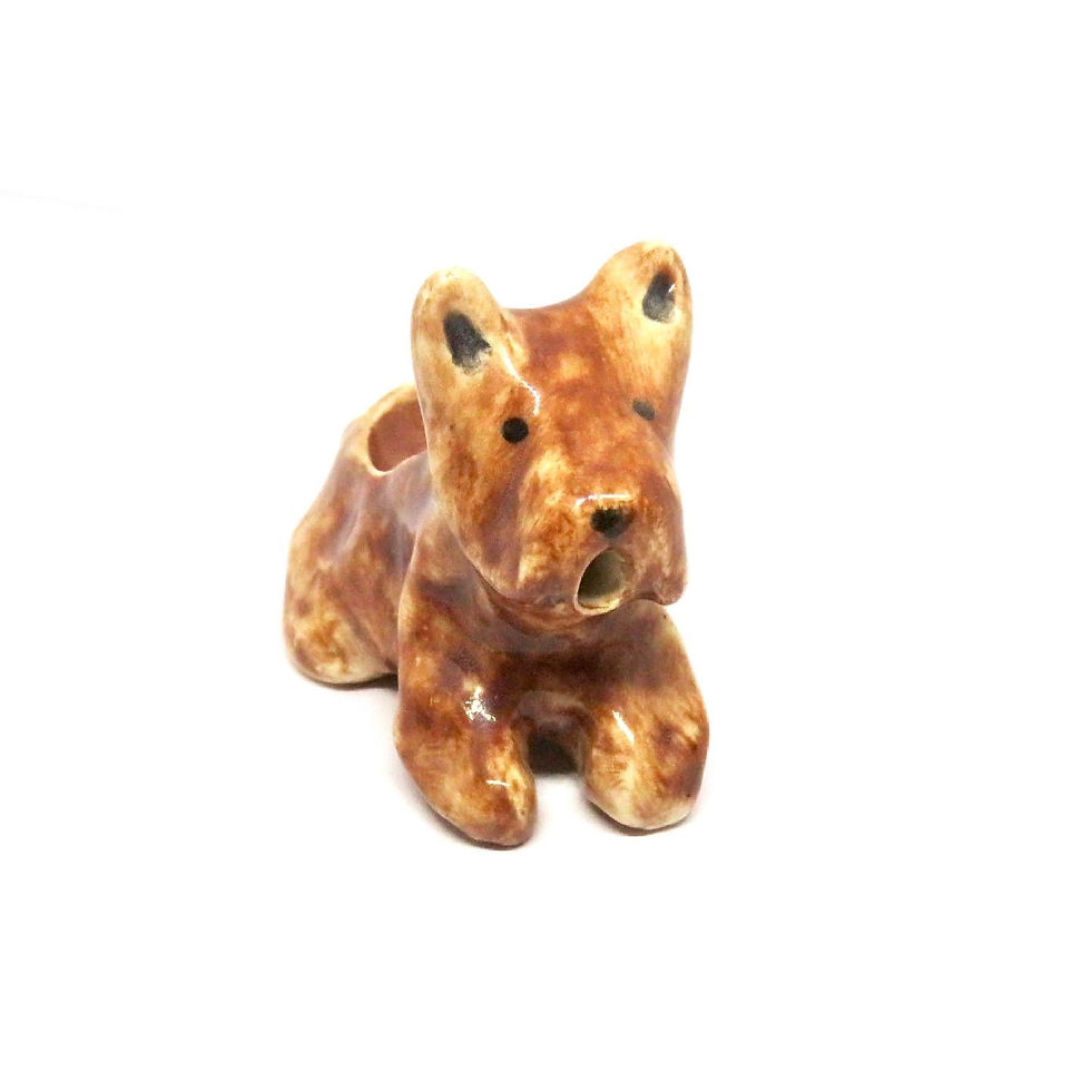 Miniatura: benito 