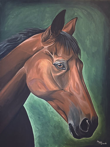 horse.jpg
