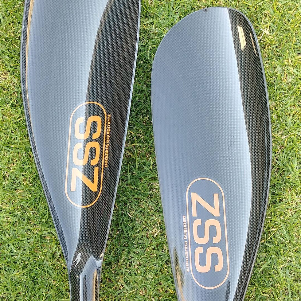 Thumbnail: ZSS Genesis Evo Series Paddle