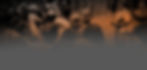 Header_2.3.4