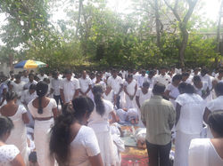 මා පිය වන්දනාව