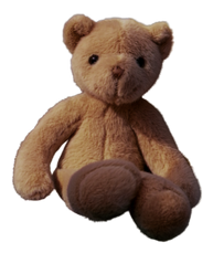 Teddy‘s Adventure