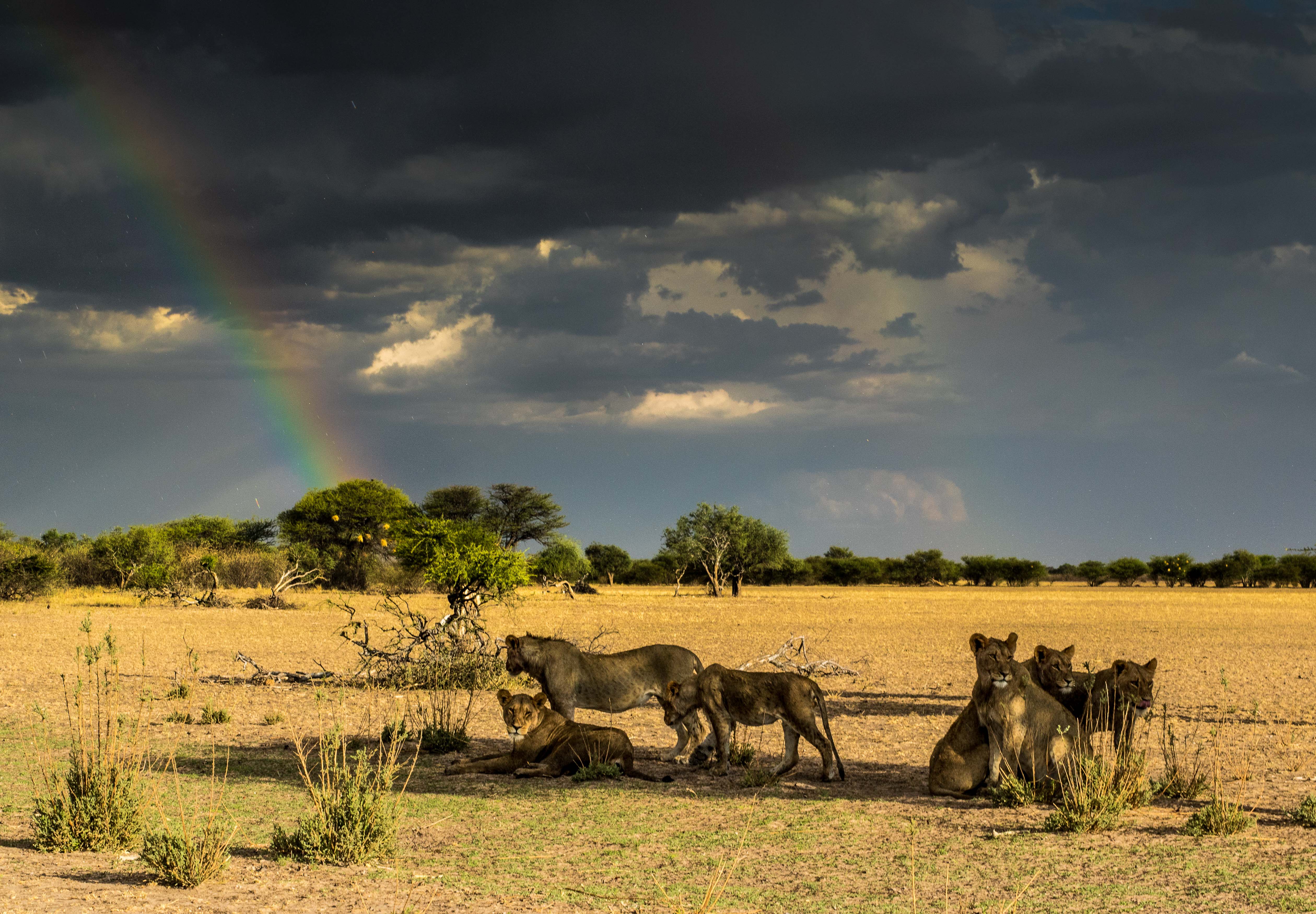 William Steel Photography | Porfolio | Wildlife