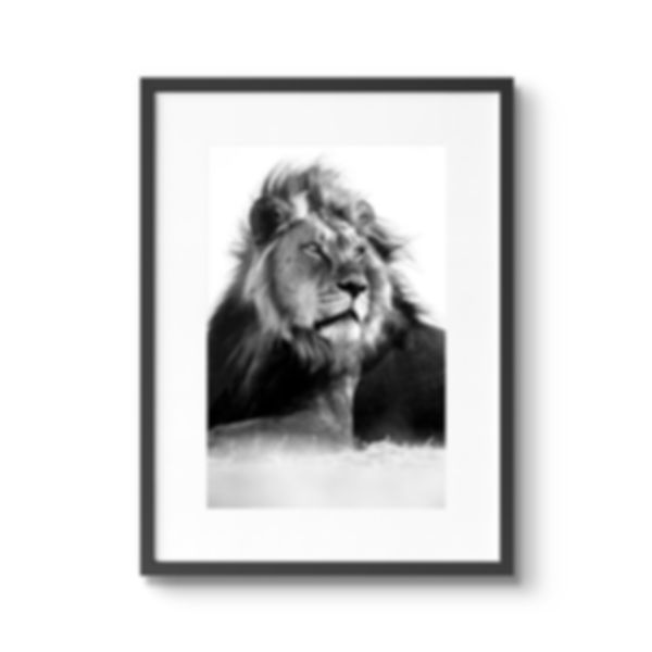 THE KING