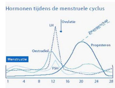 Vrouwelijke hormoonbalans en sporten