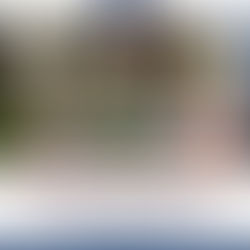 [BĐC ft MOMO] NUÔI HEO VÀNG - TH PA PHANG 2, LAI CHÂU