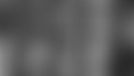 A List Of Alternative Lives That I Sometimes Wish I Had