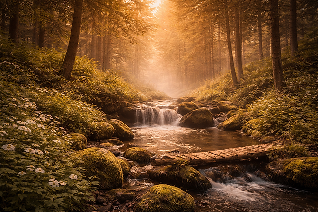 Golden woodland serenity with waterfall.png