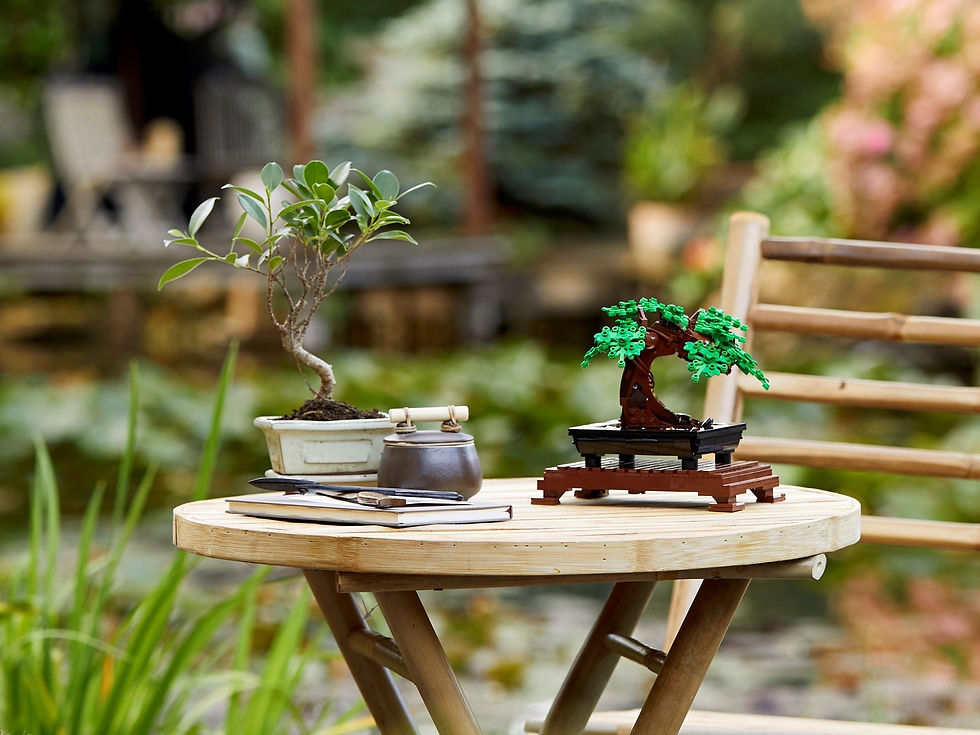 Miniatura: 10281 - LEGO® Icons - Bonsai