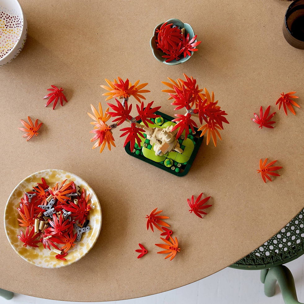 Miniatura: 10348 - LEGO® Botanicals - Árvore de bonsai de bordo vermelho japonês