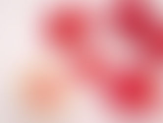 Japanese beautiful maple