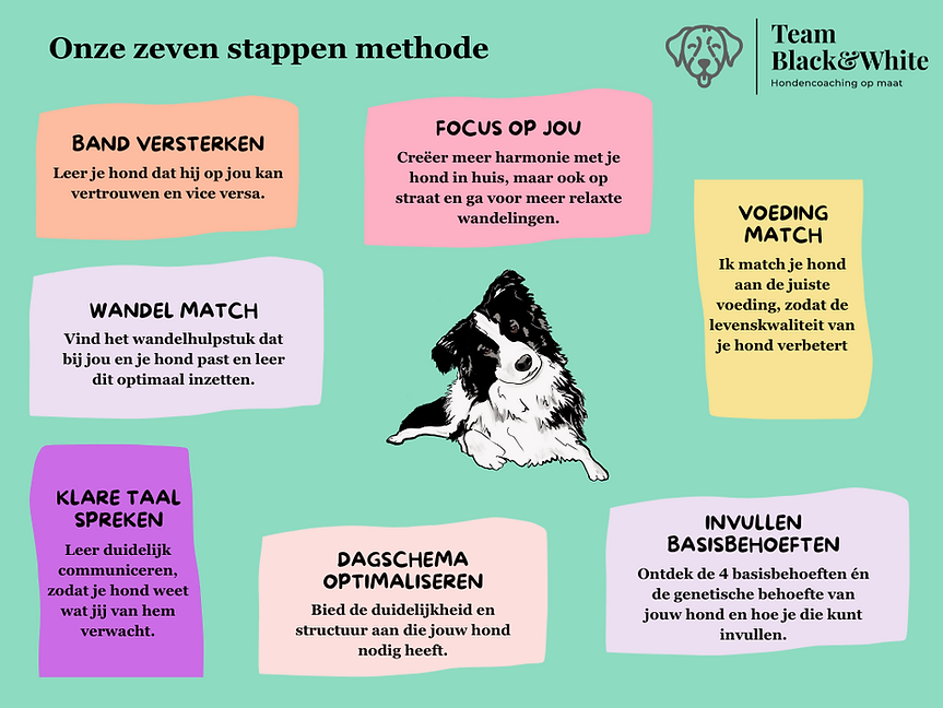 zeven stappen methode png.png
