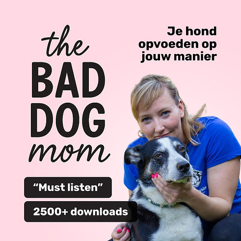 cover 2.jpeg