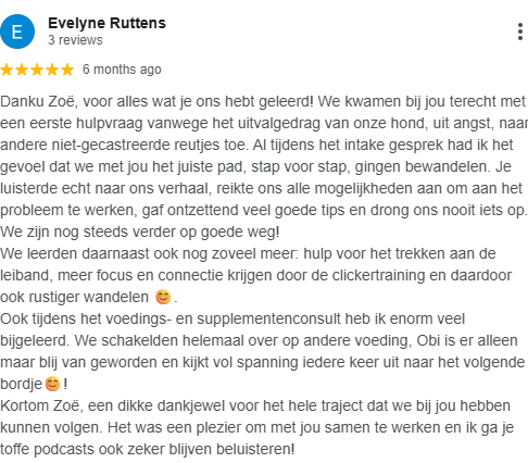 review 4.png