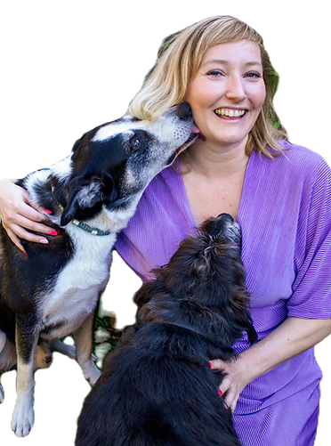 Hondengedragstherapeut begeleidt hond en eigenaar tijdens gedragstraining