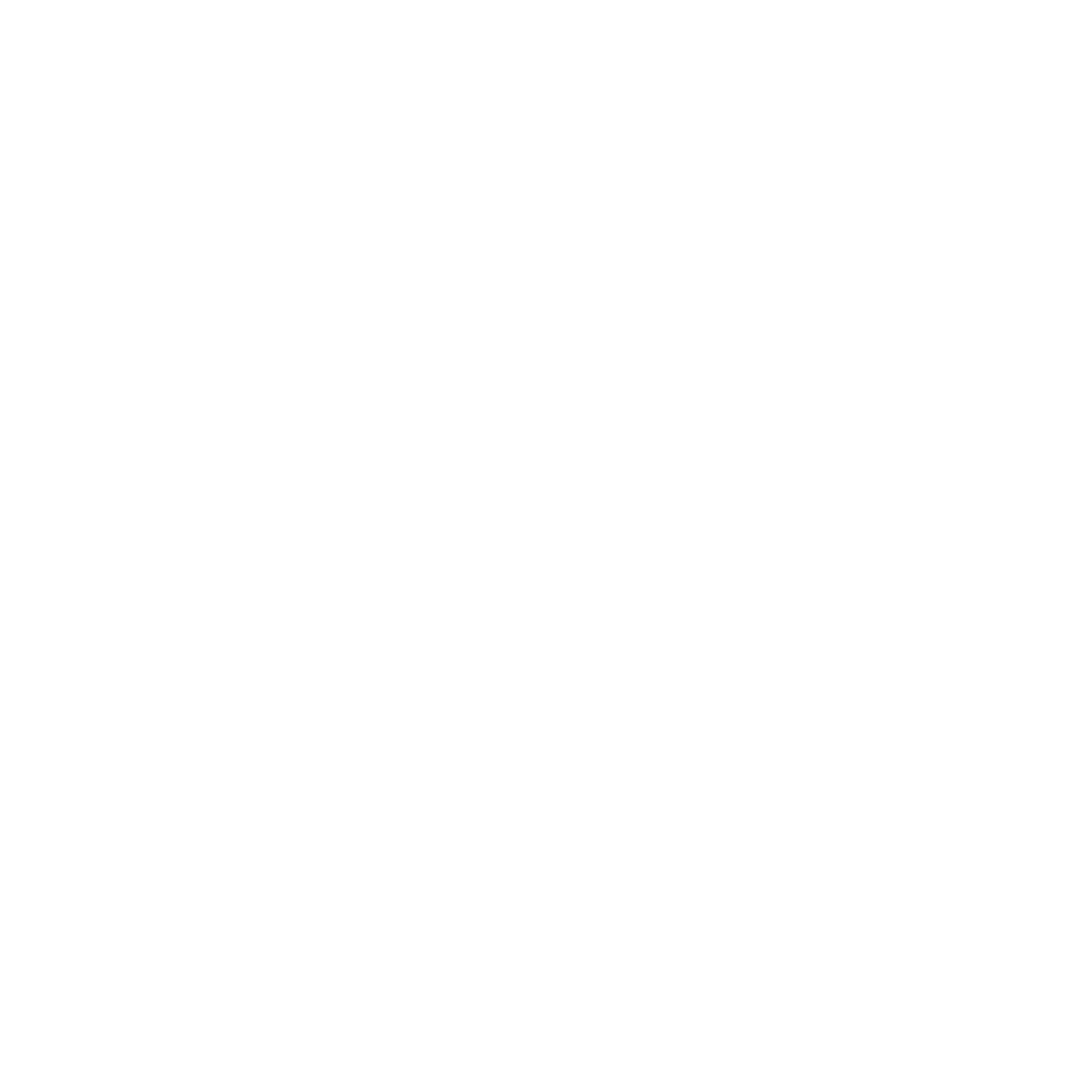 TRANSPARENT WHITE LOGO.png