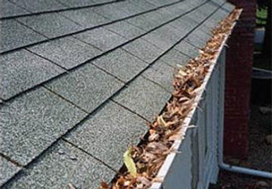 gutter_cleaning_pic1.jpg