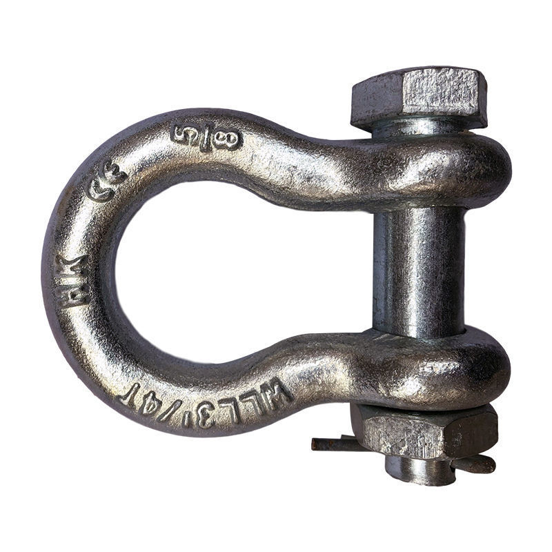 Миниатюра: Close-up of a silver D-shaped shackle with hexagon socket bolt, emphasizing its precision manufacturing and corrosion resista