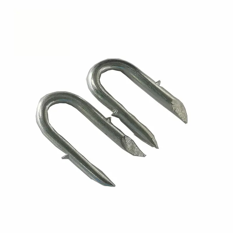 Stainless Steel U-Nails Macro | Red Circle Magnified Tip & Shaft | High-Durability Metal Fastener Detail