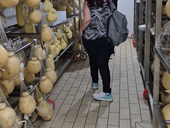 A tour inside a cheese refrigerator