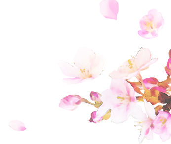 25592946 6.png