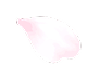 花びら2_edited.png