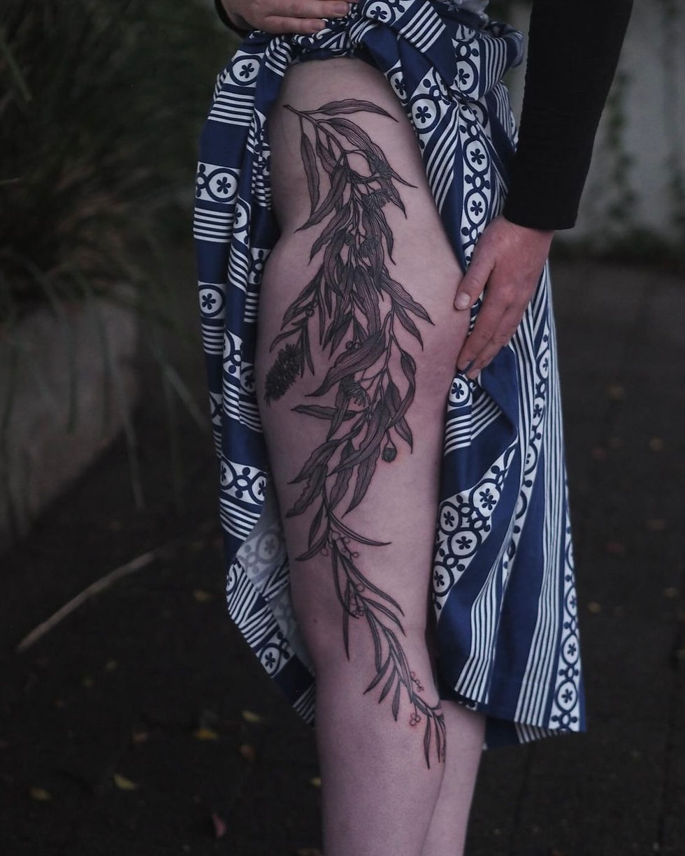 Australian Gum Tree Branch