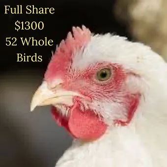 Full  Share Meat Bird CSA