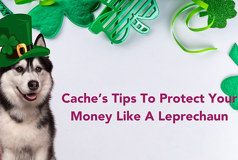 PartnersBank_Blog-Security_HeaderImages-10.png