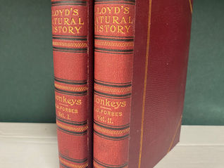 Lloyd's Natural History - Monkeys: A Hand-Book to the Primates, in 2 volumes