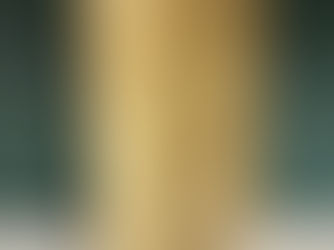 A Midsummer Night's Dream - Illustrated by Arthur Rackham