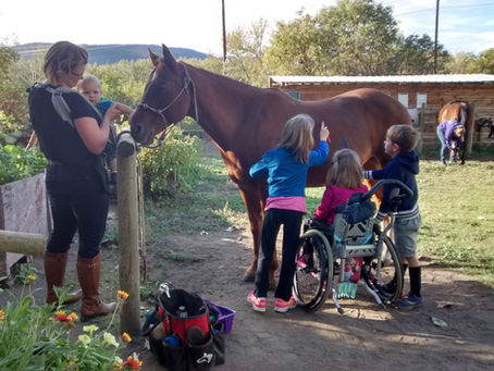 What exactly is Therapeutic Riding?